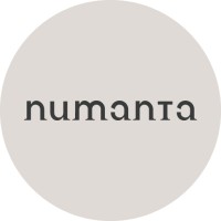 Numanta logo - Similar company to Overt Software Solutions Ltd