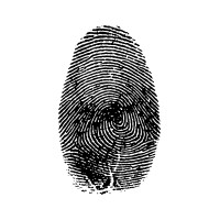 Peluffo&Partners Architettura srl logo - Similar company to 4051