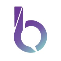 Berport Soluciones logo - Similar company to Camex