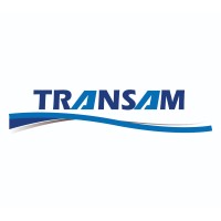 TRANSAM.NIC logo - Similar company to Grupo Ts