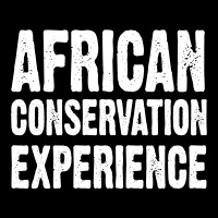African Conservation Experience logo - Similar company to African Impact