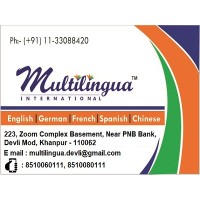 MULTILINGUA INSTITUTE logo - Similar company to Multilingua Multimedia