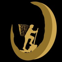 Doko Developer logo - Similar company to Kiwi Technology