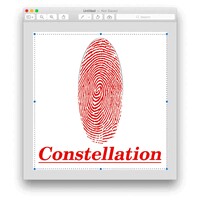 Constellation Coaching and Training logo - Similar company to Ei Executive