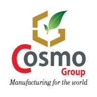 Cosmo Group logo - Similar company to Indetgroup
