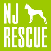 New Jersey Boxer Rescue logo - Similar company to Global Game Changers Student Empowerment Program