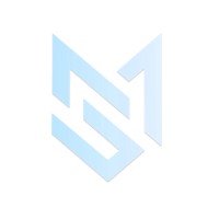 MagSoft ltd logo - Similar company to Mag International - Pvt. Limited