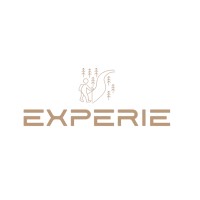 Experie Impressions logo - Similar company to Libbinni Boxes