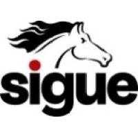 SIGUE SUPPORT SERVICES PVT LTD logo - Similar company to Origin Hr