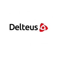 DELTEUS LIMITED logo - Similar company to Cure It Solutions Ltd