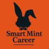 SmartMint Career logo - Similar company to Magee Secondary School