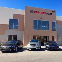 Pro-Tect Film