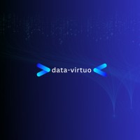 data-virtuo logo - Similar company to Data Vision.Ai