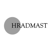 HRADMAST SOLUTIONS logo - Similar company to Hr Practice