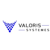 Valoris Systemes logo - Similar company to Hotellom