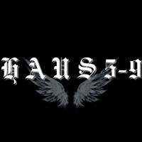 HAUS5-9 logo - Similar company to Solid Black 01 Art & Apparel