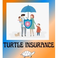 Turtle Health Insurance logo - Similar company to Community Insurance Solutions