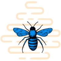 Beehive Bankruptcy Law