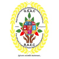 Regroupement Panafricain des Associations des Etudiants au Cameroun  (RAEC) logo - Similar company to Digital Winner Solutions