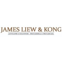 JAMES LIEW & KONG logo - Similar company to Maleki Liew Llp