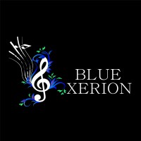 Blue Xerion Inc. logo - Similar company to Thinking North
