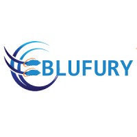 Blufury logo - Similar company to Decade Smart Technology Co.,Ltd