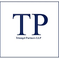 Triangel Partners LLP logo - Similar company to Optifuel Systems