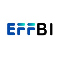 Eff BI logo - Similar company to Ntu Hpc Club