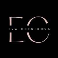 EC&Partners Technology Solutions logo - Similar company to Vision Praha S.R.O.