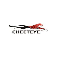 CHEETEYE logo - Similar company to Accpac