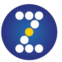 Pneu Z Centro Automotivo logo - Similar company to Prolux