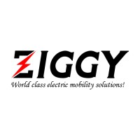 ZIGGY logo - Similar company to Ziggy Powered By Ev Safe Charge Inc.