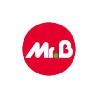 MR BRICOLAGE logo - Similar company to Home Builders Ltd