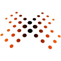 Xtinge Technology Inc. logo - Similar company to Finesci Technology Inc.