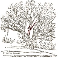 The Village Museum logo - Similar company to R2 Communications Llp