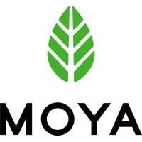 Moya Europe logo - Similar company to Fonte