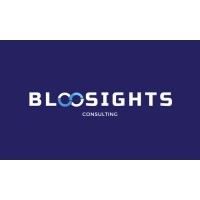 Bloosights logo - Similar company to Loginerds