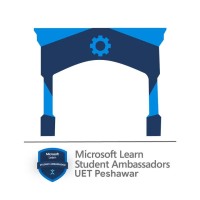MLSA UET Peshawar logo - Similar company to Coders Nexus