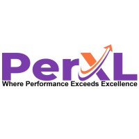 PerXL logo - Similar company to Malloc It Services