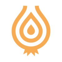 Onion Software logo - Similar company to Onion Technology Pte Ltd