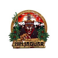 BDS IÉSEG - Nin'Jaguar logo - Similar company to X'Trem - Association De Sports Extrêmes De L'Ieseg Paris