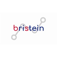 Bristein Consultoria logo - Similar company to Rnetworks Soluções Em Tecnologia