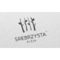 Srebrzysta Aleja logo - Similar company to Deep.Bi