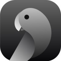 CodeParrot (YC W23) logo - Similar company to Rivia.Ai (Yc S21)