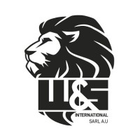 W&S International SARL logo - Similar company to Karlinah Immobilier