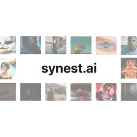 synest.ai logo - Similar company to Narrae Studio