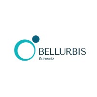 Bellurbis Schweiz GmbH logo - Similar company to Nimgrid Dg