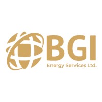 BGI Energy Services Limited logo - Similar company to International Process Plants