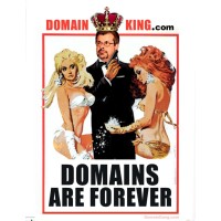 DomainKing.com logo - Similar company to Testcorp