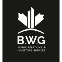 Babel Wings Group (BWG) logo - Similar company to 40Under40